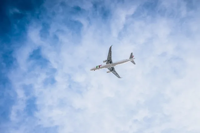 plane, flying, aviator, travel, air traffic, vacation, tourism, airline, airplane, fly, trip. How travel influencers should vet campaign benchmarks