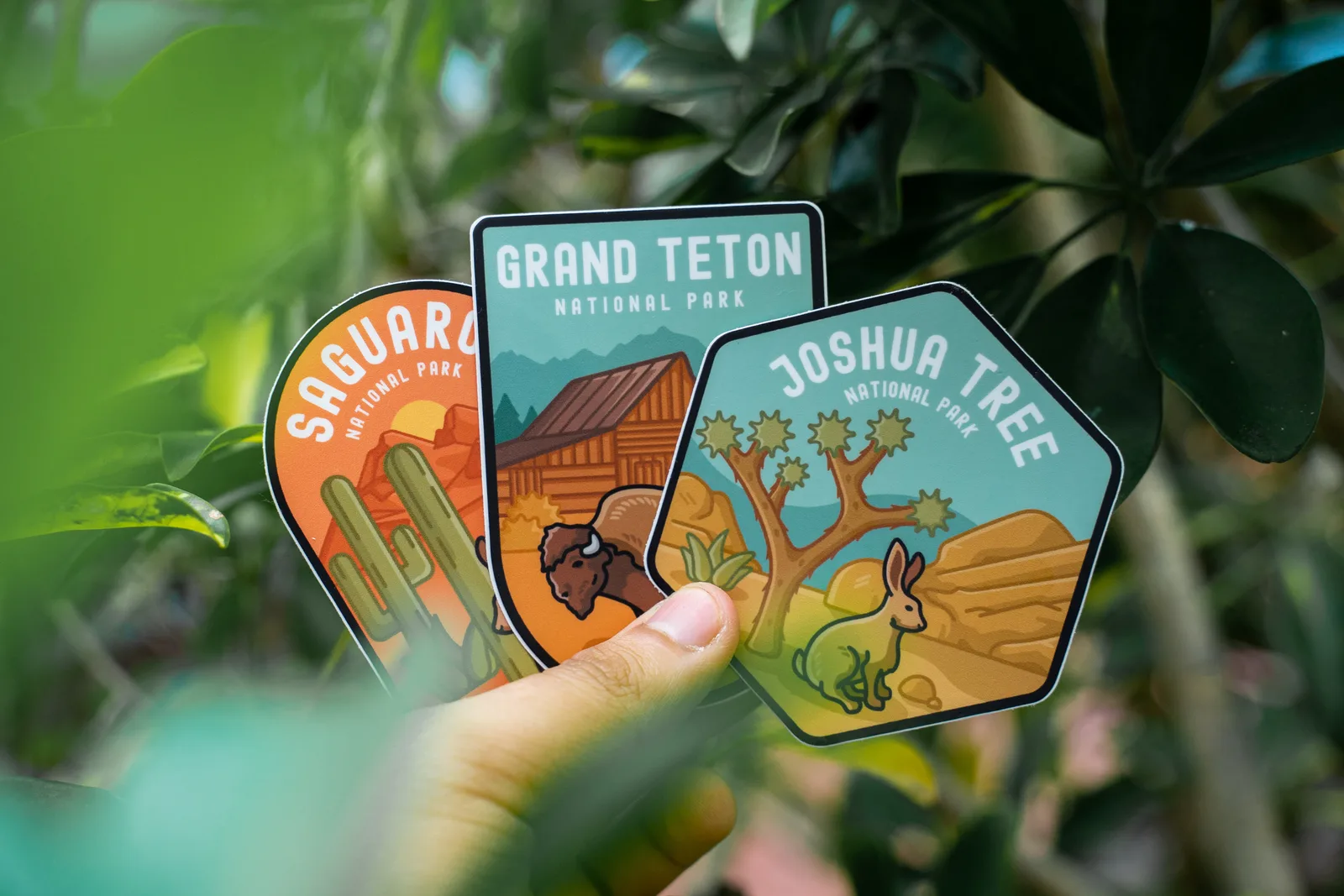 Colorful stickers of national parks including Grand Teton held in lush greenery.