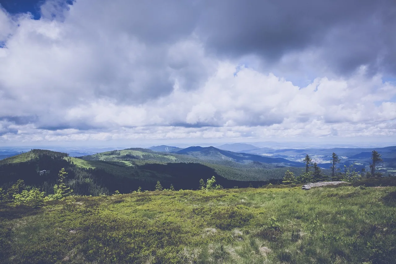 excursion, nature, destination, outlook, viewpoint, mountain, leisure time, enjoyment, plateau, sightseeing, marketing, tourism, vacations, hike, advertising, bavarian forest, forest, landscape, trees, rock, distant vision, foresight