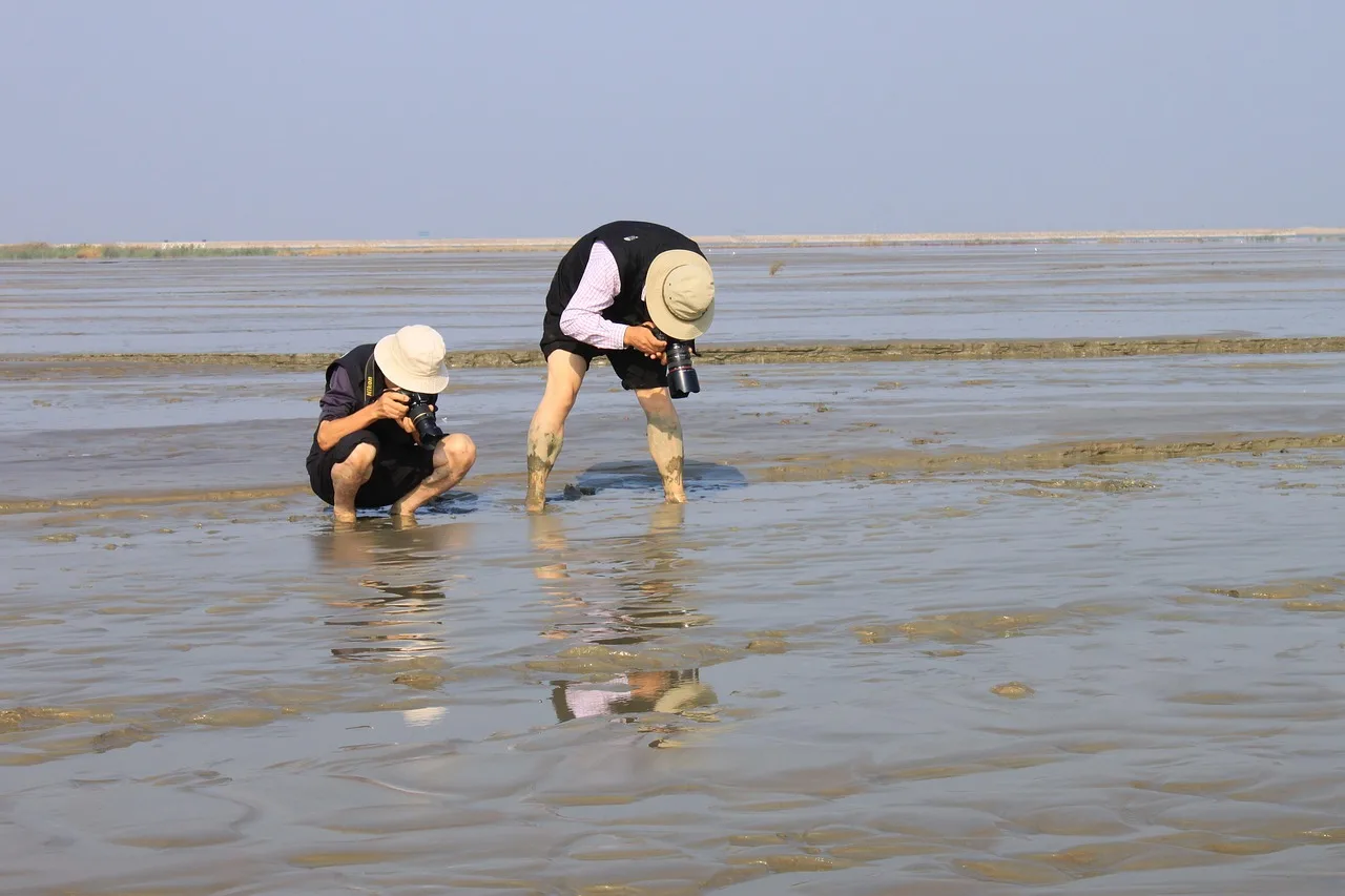 camerist, photographer, filming, exit, nature, foreshore, mud, sand, photographing, mud flat, mud flat, mud flat, mud flat, mud flat, mud flat
