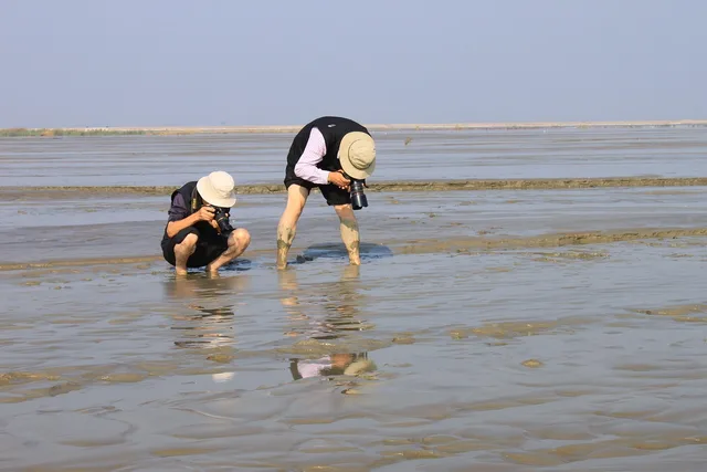 camerist, photographer, filming, exit, nature, foreshore, mud, sand, photographing, mud flat, mud flat, mud flat, mud flat, mud flat, mud flat. Travel creator campaigns pricing models follow four clear shapes