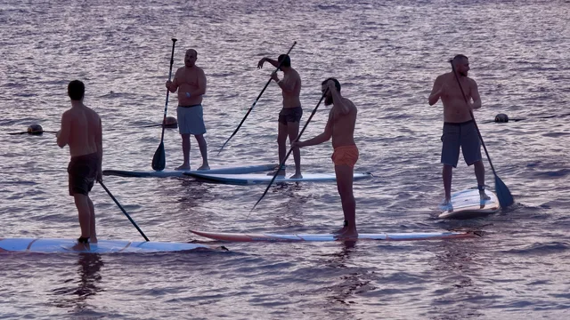 board meeting, nature, social gathering, paddle board, paddleboard, strategic meeting, emergency meeting, funny, joke, water, summer, social distancing, physical distancing. Buying campaigns with travel creators: a procurement guide