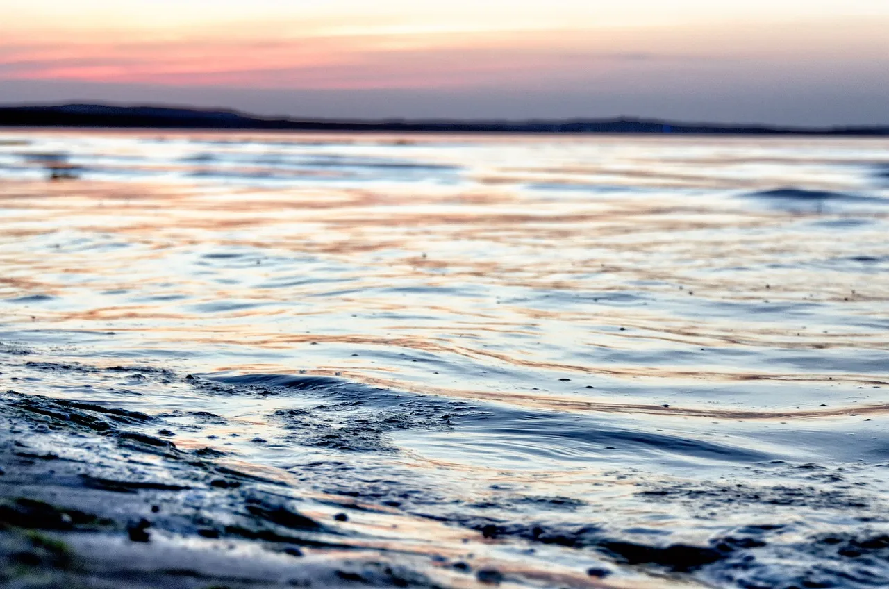 water, beach, sea, nature, the background, landscape, invoice